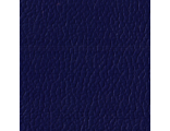 11557721.tp5woac3uf.156x120.png