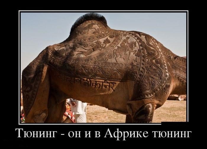post_6801_1378555200_5df0c5519a88bf20774cdd28ff599d58.jpeg