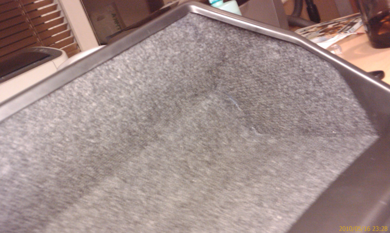 IMAG0101.jpg