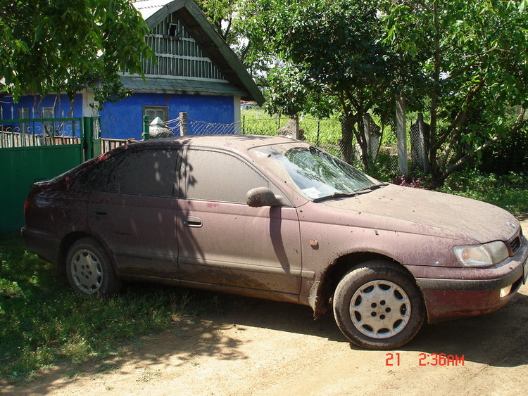 DSC08753.jpg