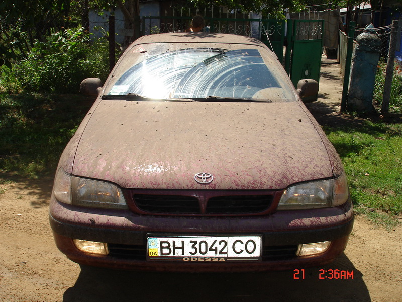 DSC08751.jpg