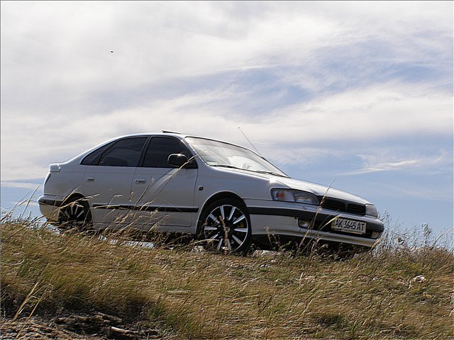 503da1f32637.jpg