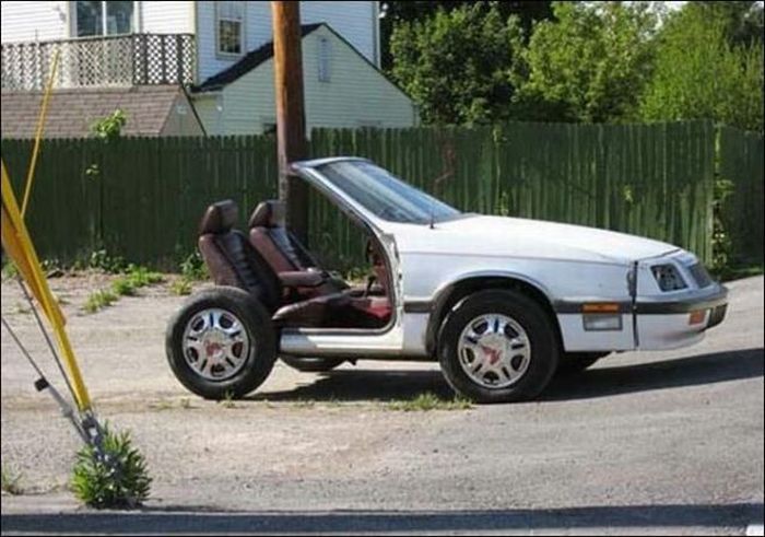 1295481532_funny_cars_26.jpg