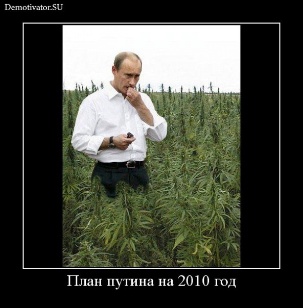 x_01317123.jpg