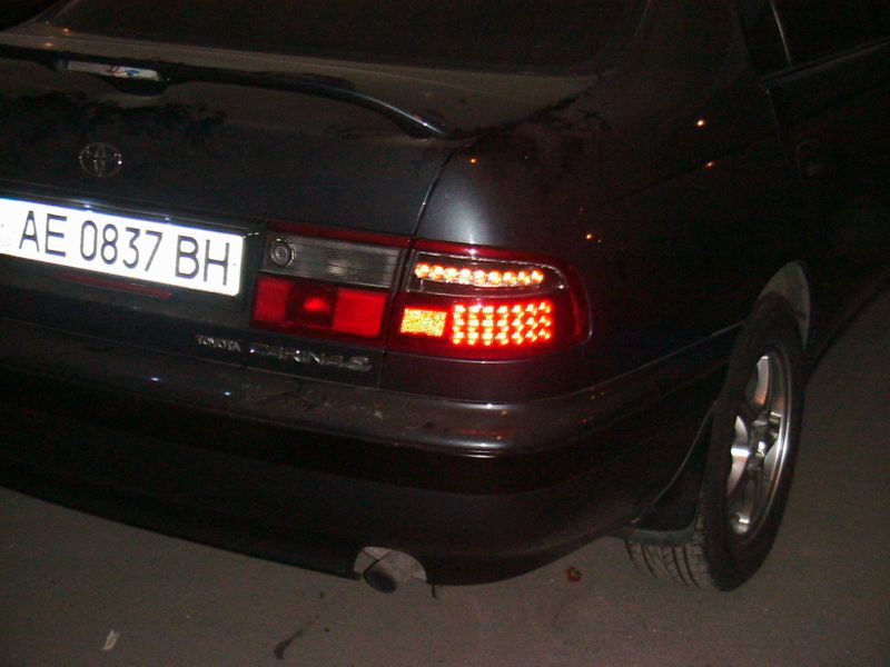 IMG_1687.jpg