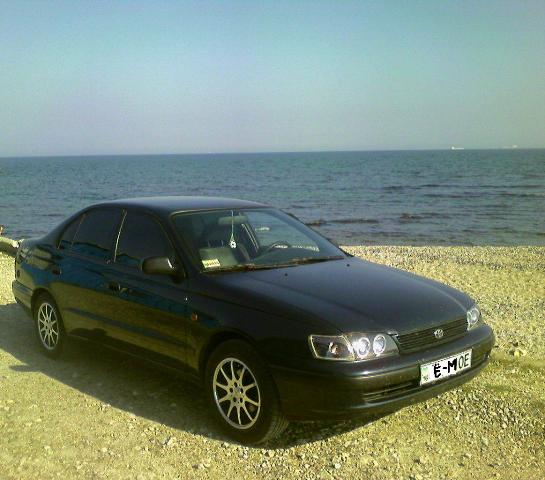 1111Phot-0008.jpg