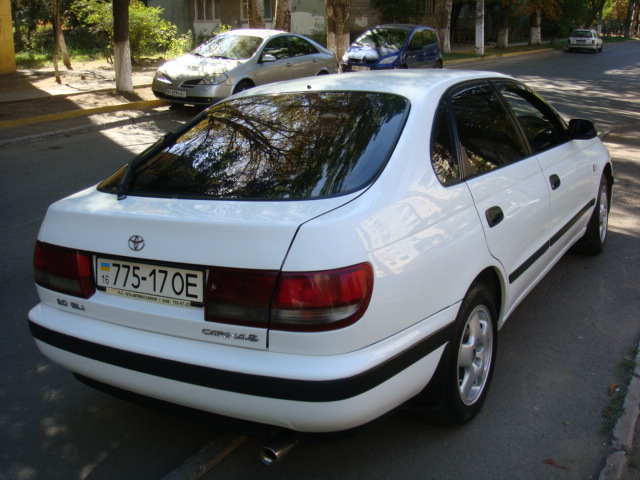 DSC02459.JPG