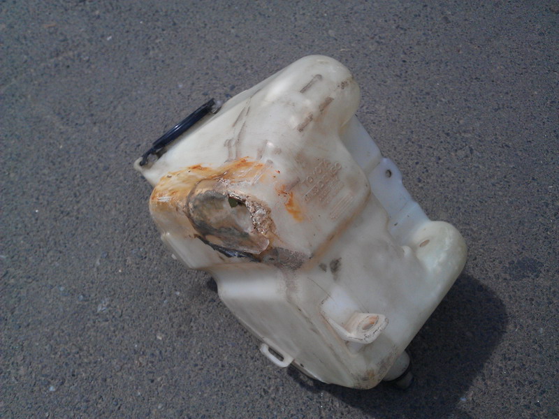 IMAG0697m.jpg